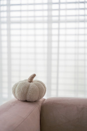 Cozy white fabric pumpkin on pastel sofa with soft light and blurred window blinds background.の写真素材