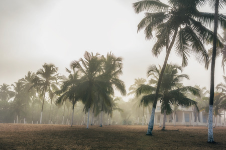 Ocean Beach in summer sunlight. Goa, India. Vivid, splittoned image.のeditorial素材