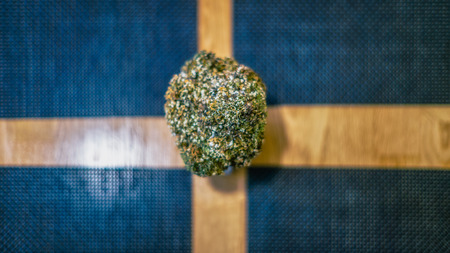 Bonsai on the japan restaurant table. Extreme blurred and shallow depth of field. Vivid splittoned imageの写真素材