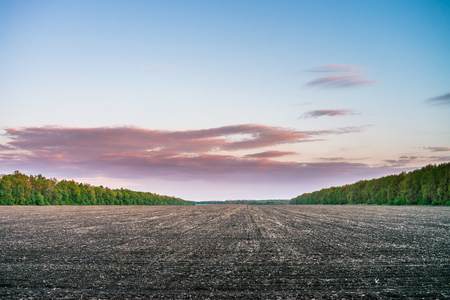 Black soil with violet clouds on the background. Lowlight imageの写真素材