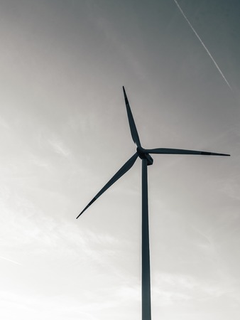 Wind electricity propellers in sunset light summer