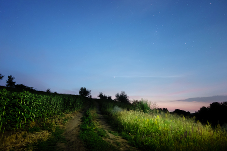 Night sky view with shining stars and cloudsの写真素材