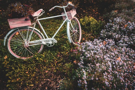 Bicycle in the garden with flowers boxの写真素材