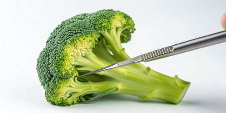 A hand carefully cuts into a vibrant piece of broccoli using a small tool. The fresh vegetable is held against a light background, highlighting its texture and color.の写真素材