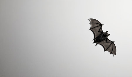 A dark bat soars silently across a blank wall, its wings stretched wide in mid-flight. The soft light highlights its sleek form at dusk, creating a calm and mysterious atmosphere.の写真素材