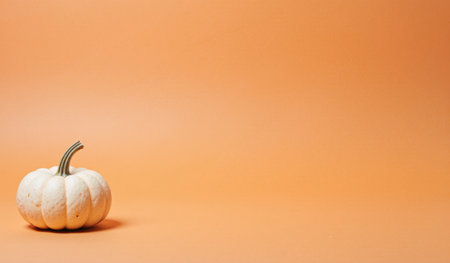 A single white pumpkin rests on an inviting orange backdrop, capturing autumn's essence. This serene setting creates a festive atmosphere, perfect for the seasonal celebration.の写真素材