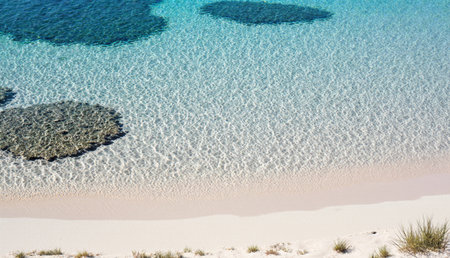 Turquoise waves gently lap at a soft sandy beach, revealing unique coral formations beneath crystal-clear water. This peaceful coastal scene invites relaxation under the warm sun.の写真素材