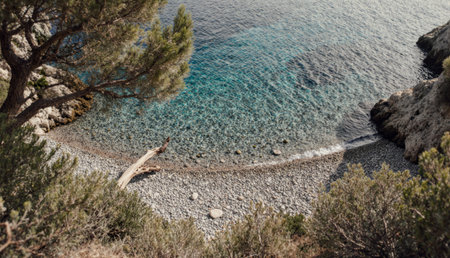 Waves gently lap against smooth pebbles as sunlight dances across clear blue waters. Green trees frame the shoreline, creating a peaceful retreat away from the busy world.の写真素材