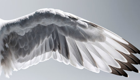A close-up view of a bird's wing reveals its stunning feathers and intricate patterns. The blend of...