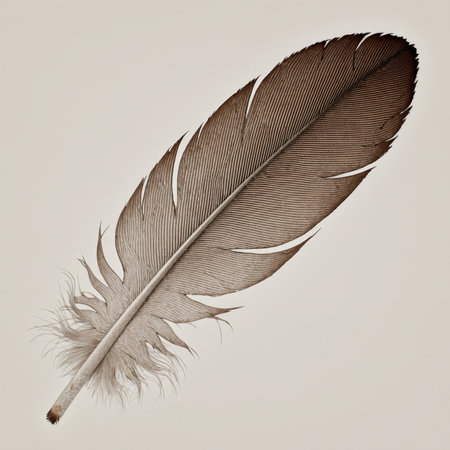 A stunning feather rests gently on a light surface, revealing its fine patterns and textures. The natural hues highlight its elegance, inspiring a sense of calm and wonder.の写真素材