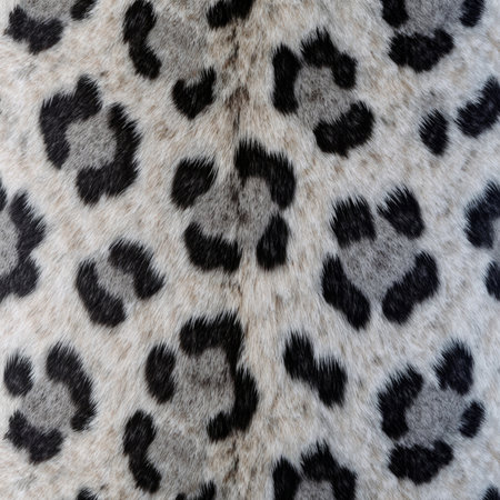 This striking pattern features gray fur with bold black leopard spots, embodying the wild elegance...