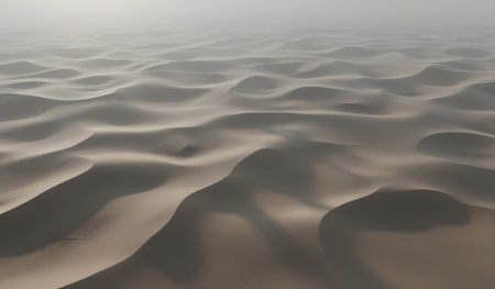 Gentle sand dunes create a serene and flowing pattern in a vast desert. Soft sunlight bathes the landscape, enhancing the tranquility and beauty of this natural scene.の写真素材