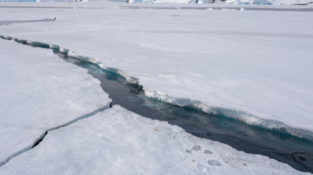Cracks are visible in the ice with water seen below. The scene shows a vast area of snow and ice under clear skies. This activity likely occurs during a warm season in an Arctic area.の写真素材