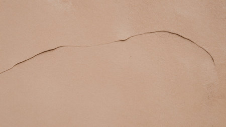 Of a sandy surface with a smooth, light beige texture. In the center of the.