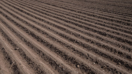 View of a vast agricultural field, with rows of freshly plowed soil stretching across the.