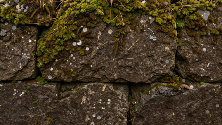 Of a weathered stone wall composed of rough, uneven stones, the texture of the stones.