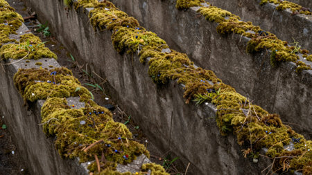 Captures a close-up of a section of a concrete wall, likely part of an abandoned structure, the wall is weathered. Features: captures, close-up, section, concrete, wall.の写真素材