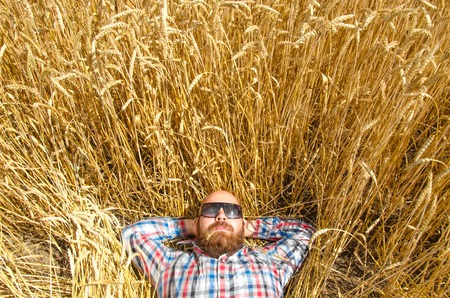 A farmer or hairless hipster lie and relax in field of wheatの写真素材