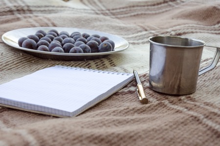 Open empty notebook, pen and berry plum. Selective focus, space for textの写真素材