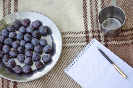 Open empty notebook, pen and berry plum. Selective focus, space for textの写真素材