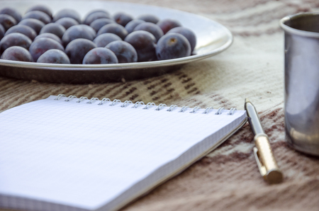 Open empty notebook, pen and berry plum. Selective focus, space for textの写真素材