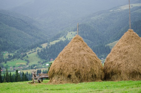 old traditional hay stacks in mountains, typical rural sceneの素材 [FY31069637323]