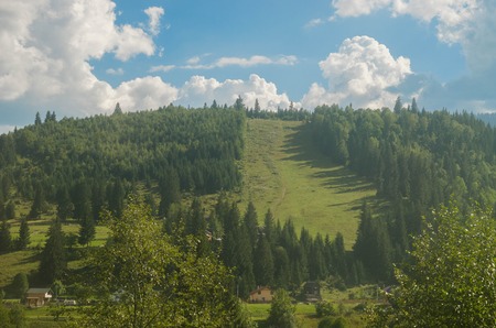Spruce trees in the morning sunlight. Carpathian mountains with fogの写真素材