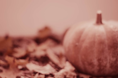 Autumn leaves on wooden background, fall leaf frame with rosehips, red berries, cones and harvesting orange pumpkin, selective focus, toned. thanksgiving cardの写真素材