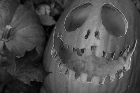 Creepy halloween scary pumpkin with a smile at the old wooden background doors.の写真素材