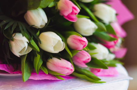 Bouquet of colorful tulips close up on white table background.の写真素材