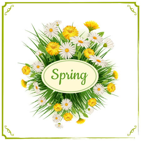 Fresh spring background with grass, dandelions and daisiesのイラスト素材