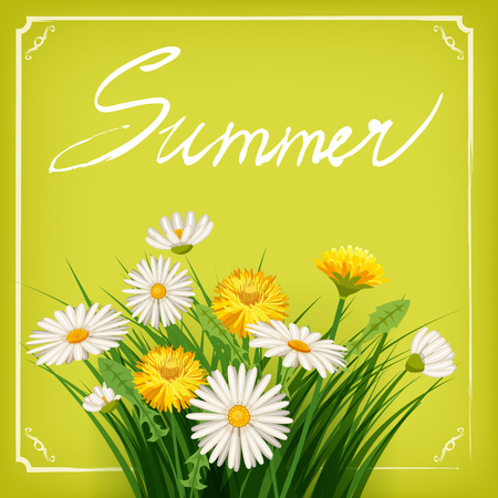 Summer lettering hand-drawn on a background of hamomile flowers, dandelion, banner, isolated, vector, illustrationのイラスト素材