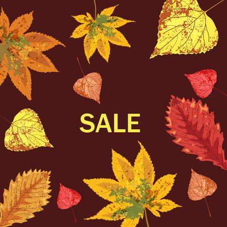 collection beautiful colourful autumn leaves vector illustrationのイラスト素材