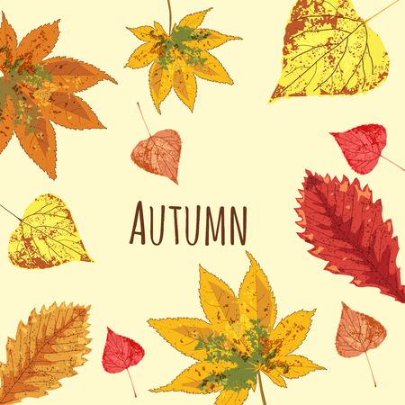 collection beautiful colourful autumn leaves vector illustrationのイラスト素材