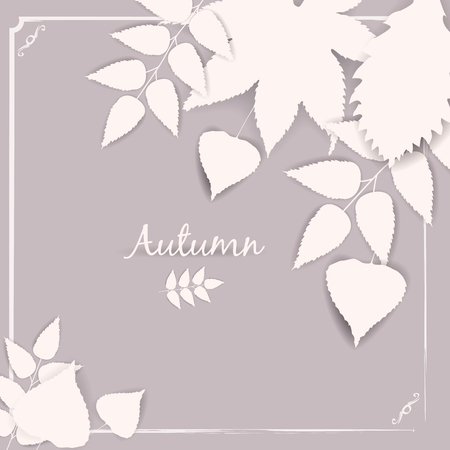 Collection beautiful colourful autumn leavesのイラスト素材