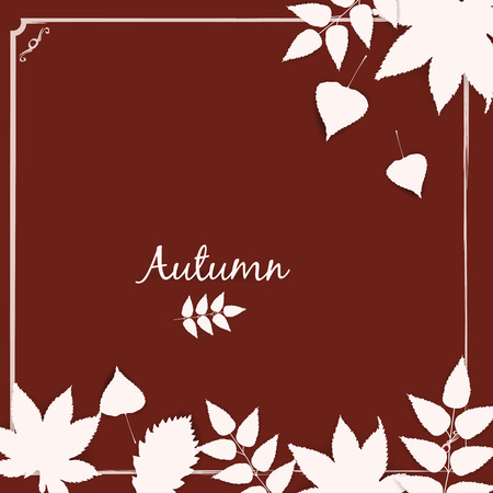 Collection beautiful colourful autumn leaves vector illustration.のイラスト素材