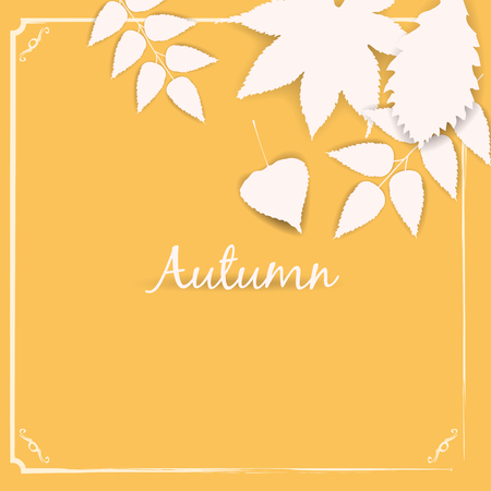 Collection beautiful colourful autumn leaves vector illustration.のイラスト素材