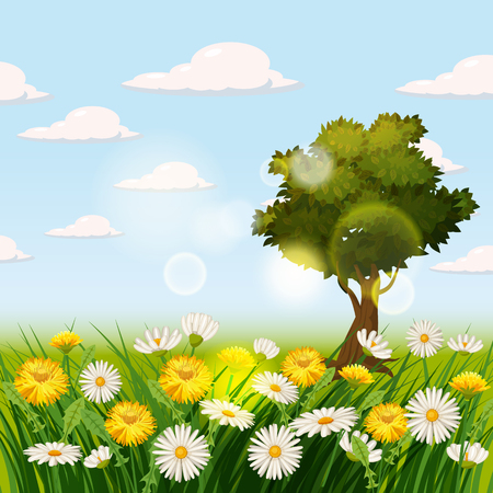 Spring beautiful scenery, fields, chamomile flowers dandelionsの写真素材