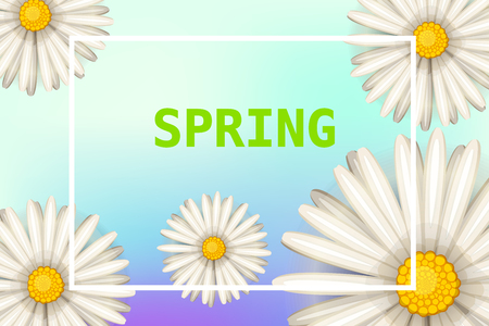 Daisies flowers spring background, cartoon styleのイラスト素材