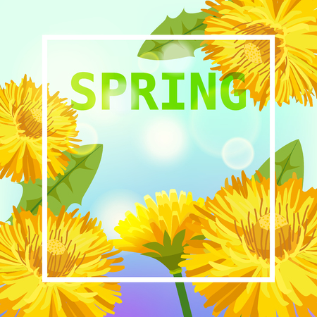 Spring, daisy flowers dandelions, background, cartoon style, vector, illustration, flyer, banner, isolatedのイラスト素材