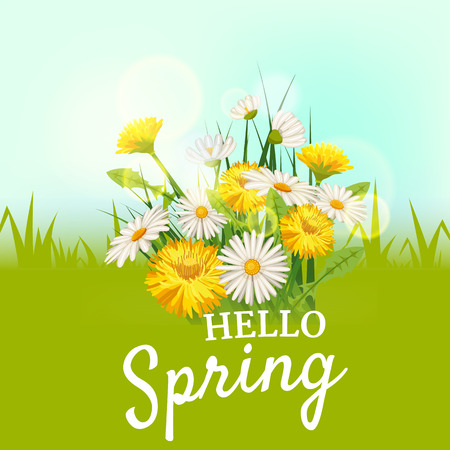 Hello spring, a bouquet of daisies flowers dandelions, on a green background, cartoon style, vector, illustration, flyer, banner, isolatedのイラスト素材