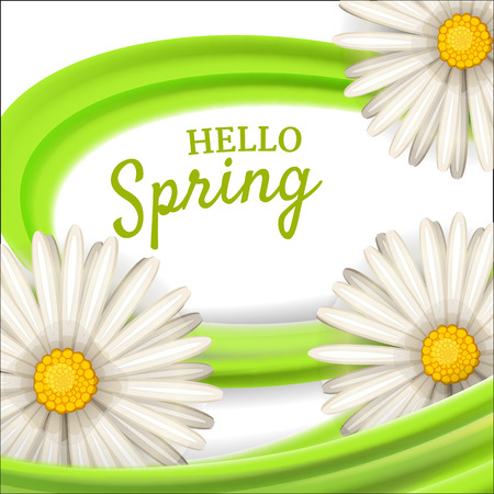 Hello spring, daisies flowers background, cartoon style, vector, illustration, flyer, banner, isolatedのイラスト素材