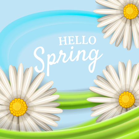 Hello spring, daisies flowers background, cartoon style, vector, illustration, flyer, banner, isolatedの写真素材