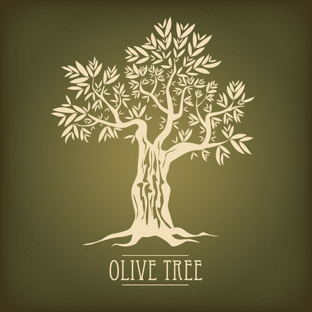 Olive tree on vintage paper.のイラスト素材