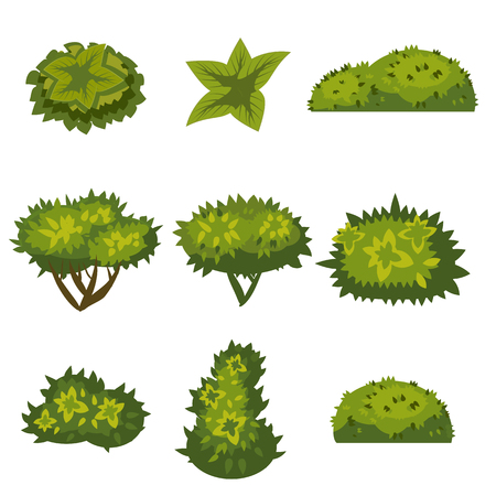 Set of bushes in cartoon style for decoration on your works, grass in cartoon style, green plants, vectorのイラスト素材
