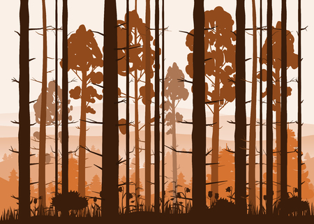 Sunny forest background. Vector illustration of woods in forest in sunlight background.のイラスト素材