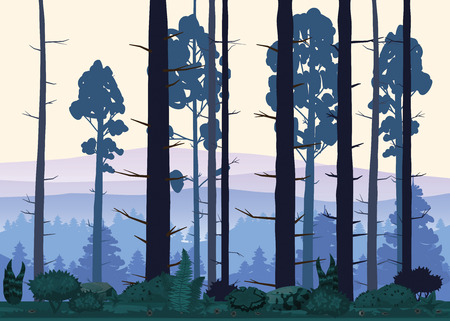 Cartoon illustration of background forest. Bright forest woods, silhouttes, trees with bushes, ferns and flowersのイラスト素材