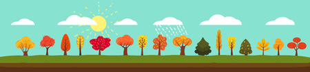 Simple landscape Set of autumn trees, different types, modern trend design, cute styleのイラスト素材