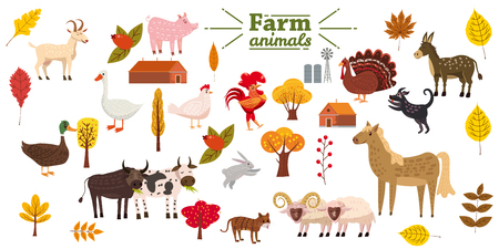 Big set of farm animals, pig, rabbit, cow, bull, cat, dog goose duck turkey donkey goat sheep ramのイラスト素材