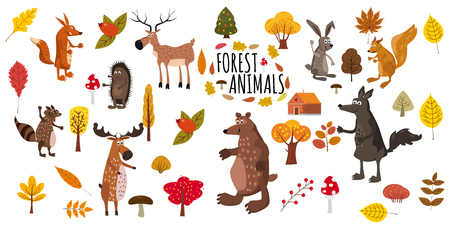 Set of cute forest animals bear, raccoon, squirrel, hare, fox, wolf, hedgehog, moose deer autumn leaves treesのイラスト素材